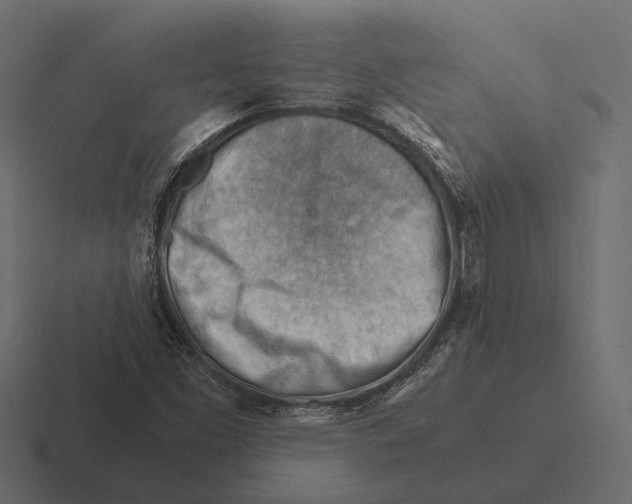 X0000116371453200912291701