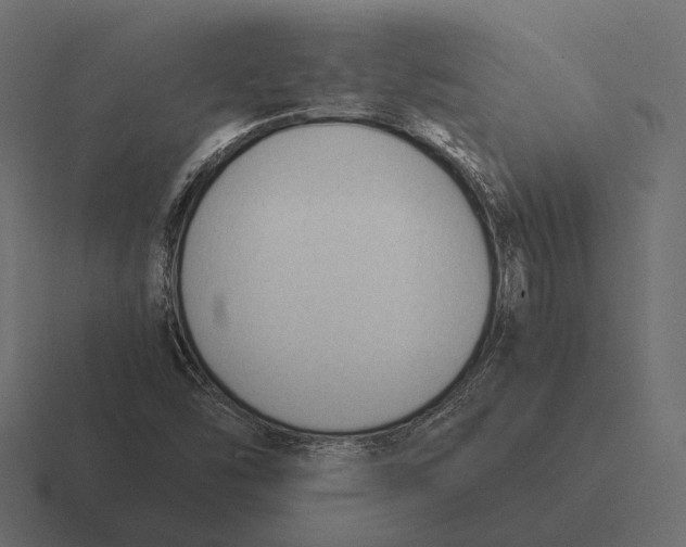 X0000116371454200912291701