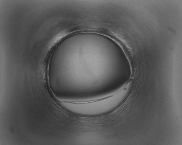 X0000116371455200912291701