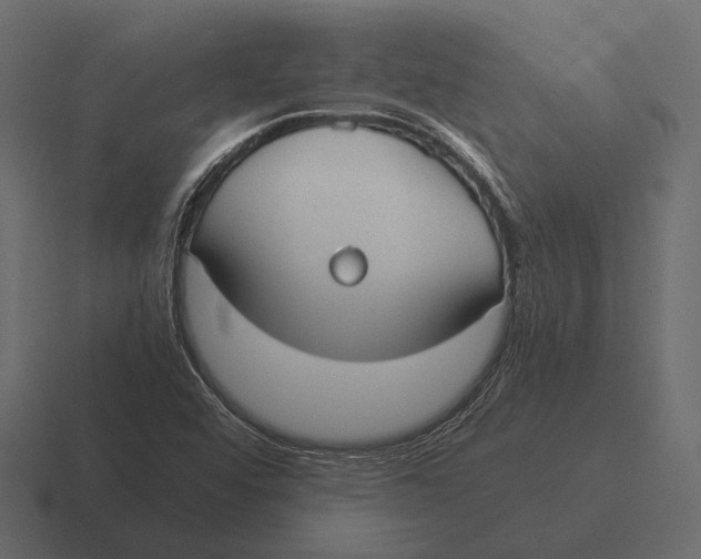 X0000116371456200912291701