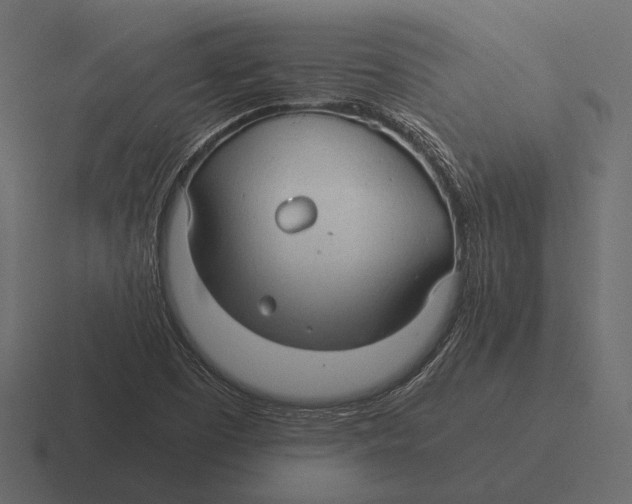 X0000116371457200912291701