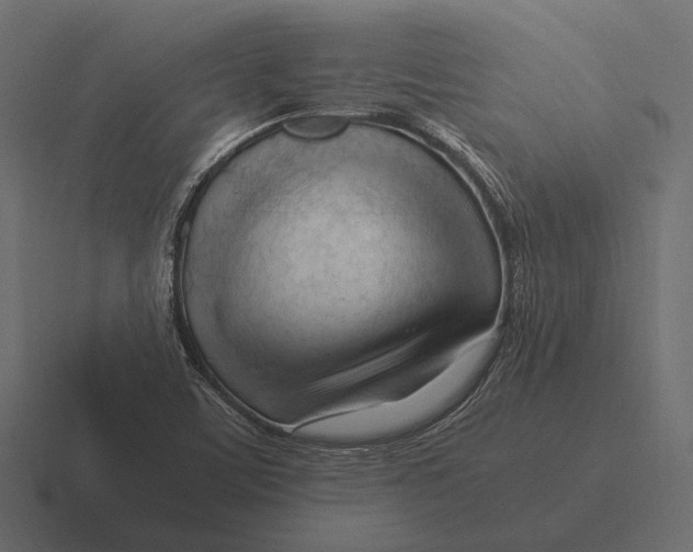 X0000116371459200912291701