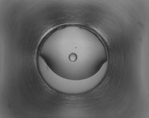 X0000116371460200912291701