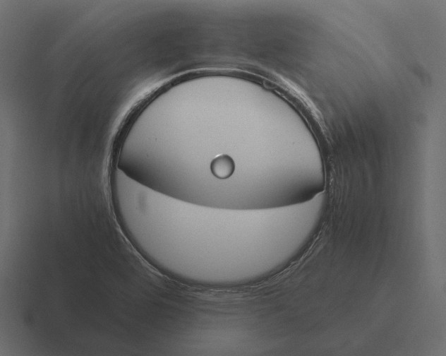 X0000116371464200912291701