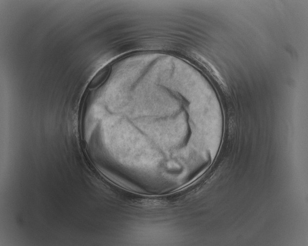 X0000116371465200912291701