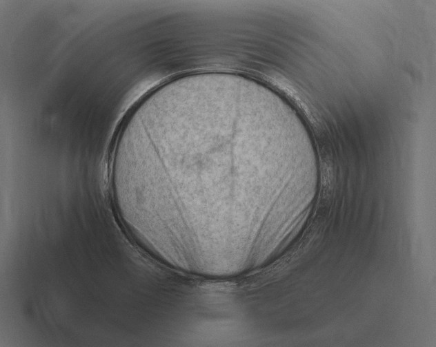 X0000116371466200912291701