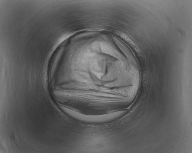 X0000116371469200912291701