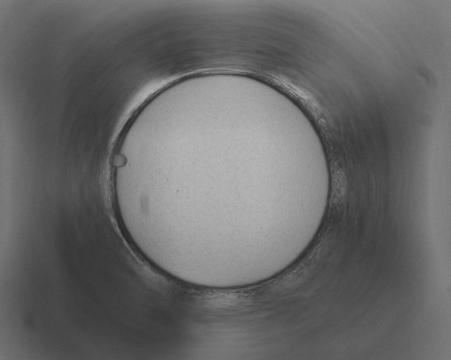 X0000116371470200912291701