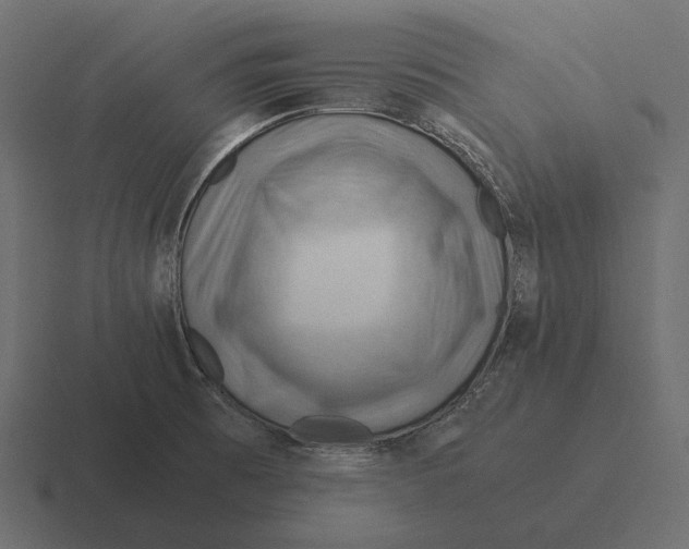 X0000116371473200912291701