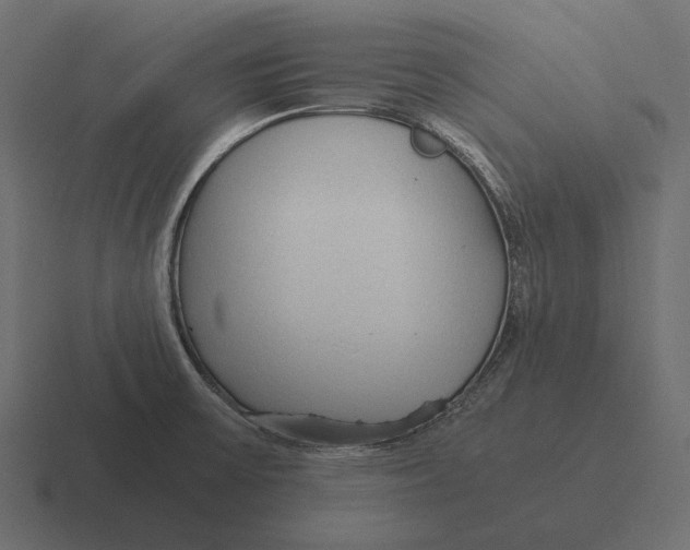 X0000116371475200912291701