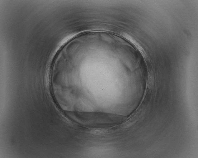 X0000116371477200912291701