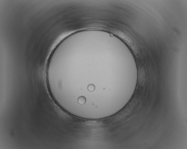 X0000116371478200912291701