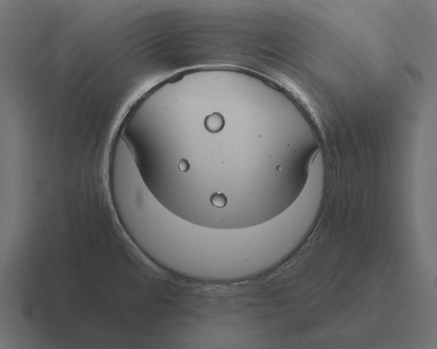 X0000116371480200912291701