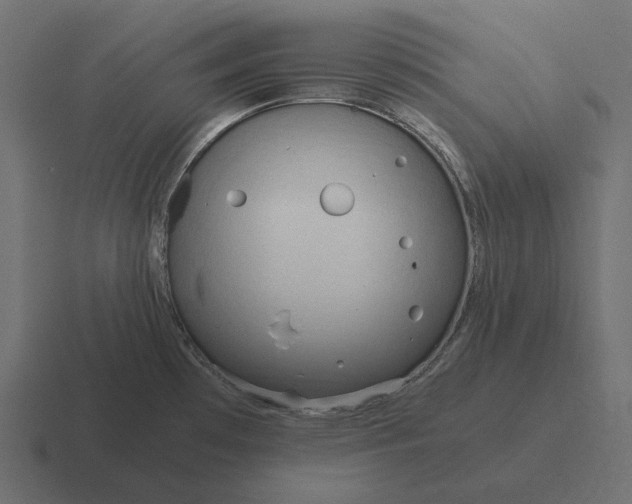 X0000116371481200912291701