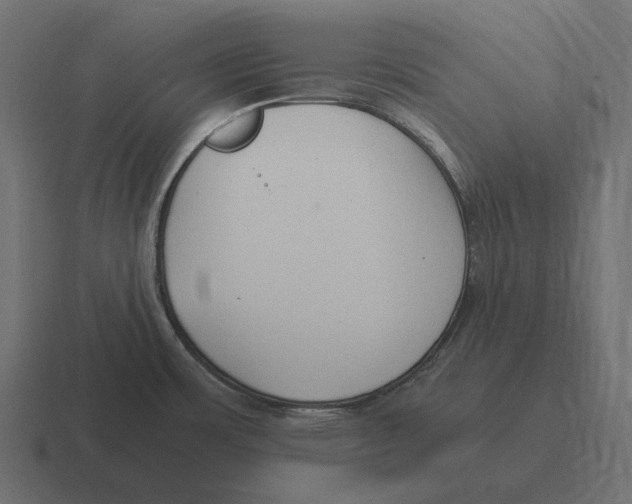 X0000116371483200912291701