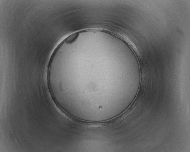 X0000116371484200912291701