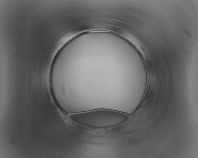 X0000116371485200912291701