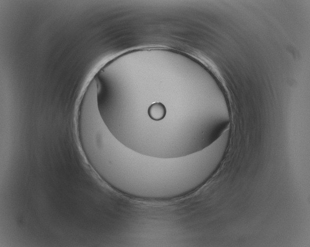 X0000116371488200912291701