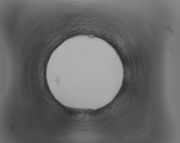 X0000116371489200912291700