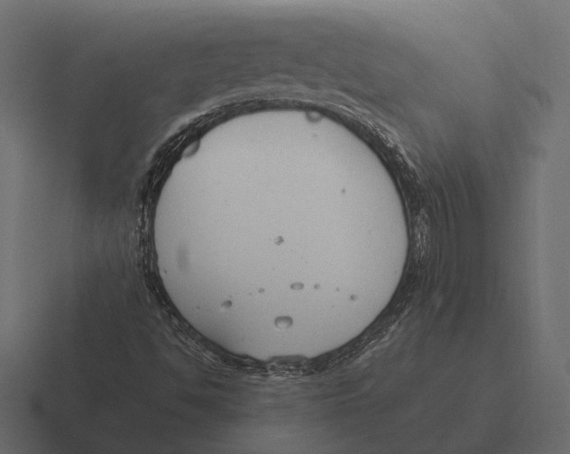 X0000116371494200912291700