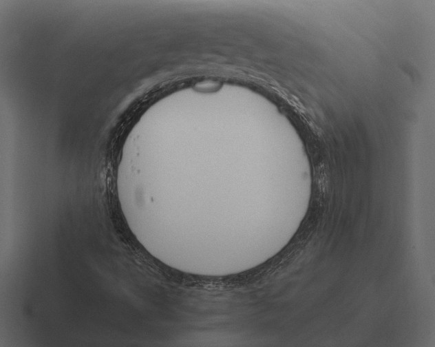 X0000116371495200912291700