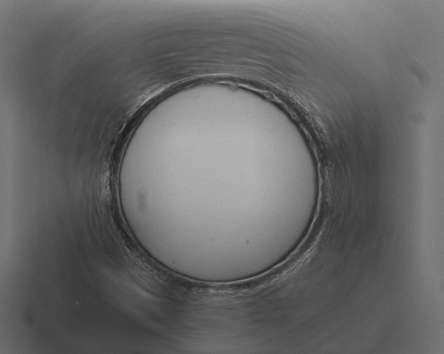 X0000116371497200912291700