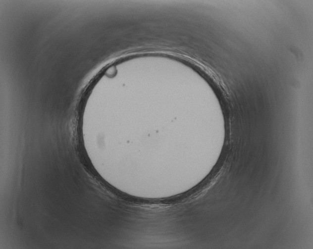 X0000116371502200912291700