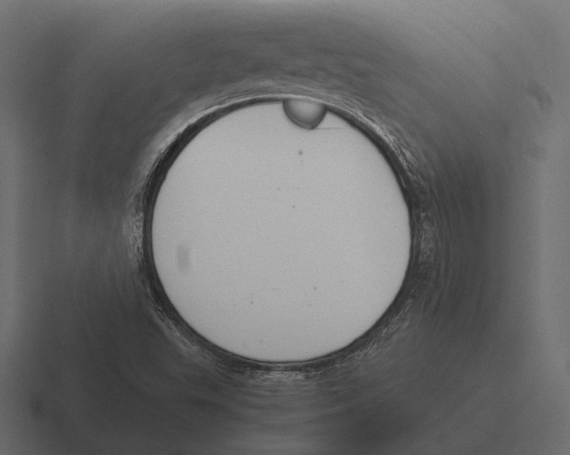 X0000116371503200912291700