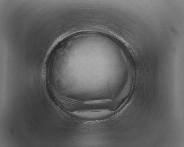 X0000116371506200912291700