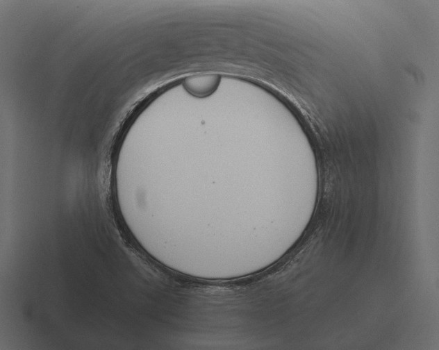 X0000116371507200912291700