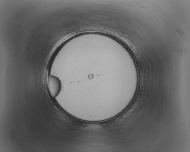 X0000116371509200912291700