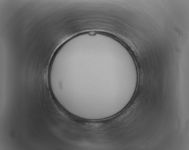 X0000116371513200912291700