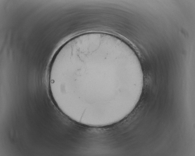 X0000116371514200912291700