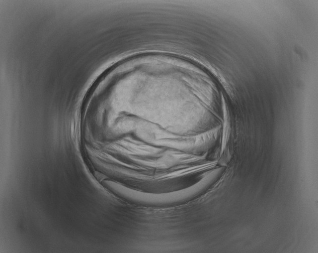 X0000116371515200912291700