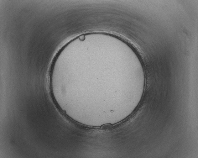 X0000116371517200912291700