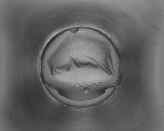 X0000116371519200912291700