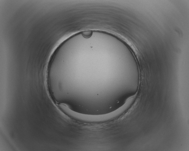 X0000116371525200912291700