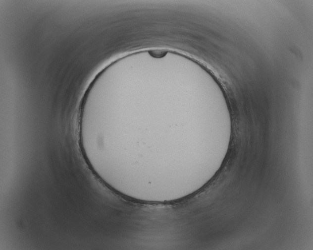 X0000116371526200912291700