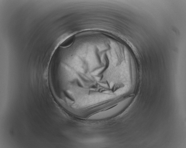 X0000116371529200912291700