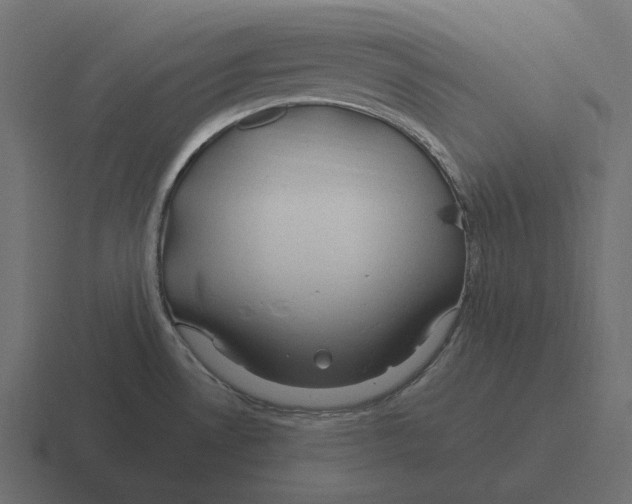 X0000116371530200912291700