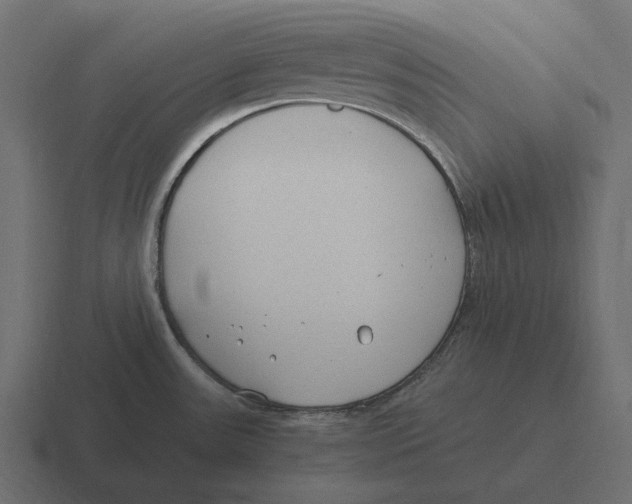 X0000116371531200912291700