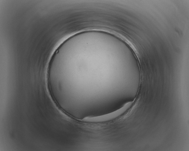 X0000116371533200912291700