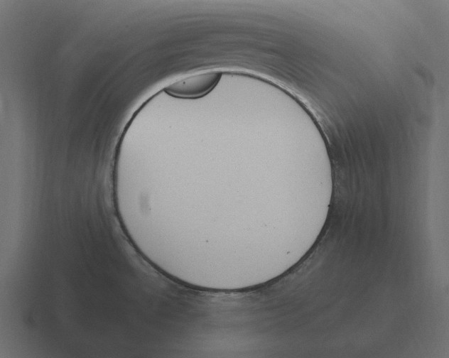 X0000116371534200912291700