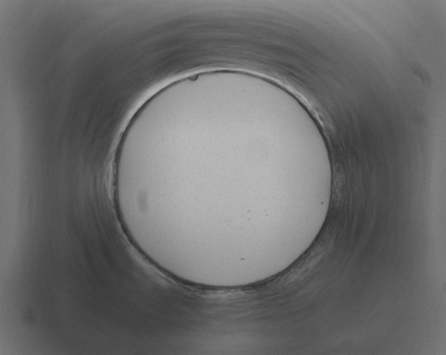 X0000116371535200912291700