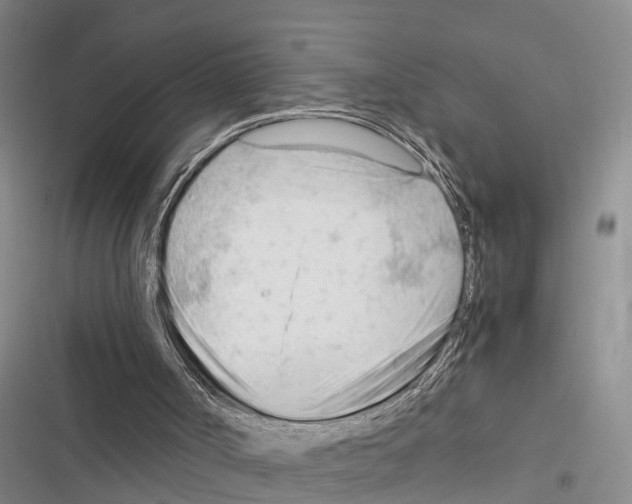 X0000116370002201001131757