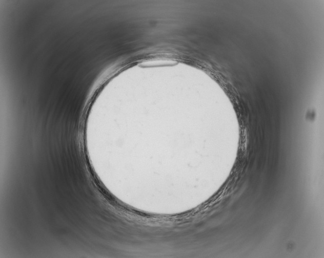 X0000116370004201001131757