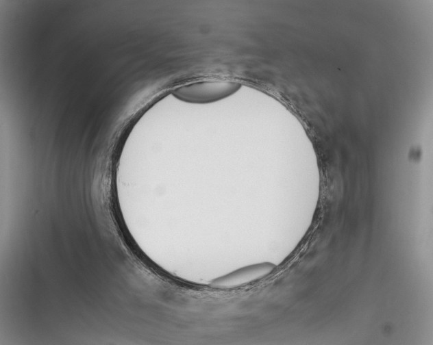 X0000116370005201001131757