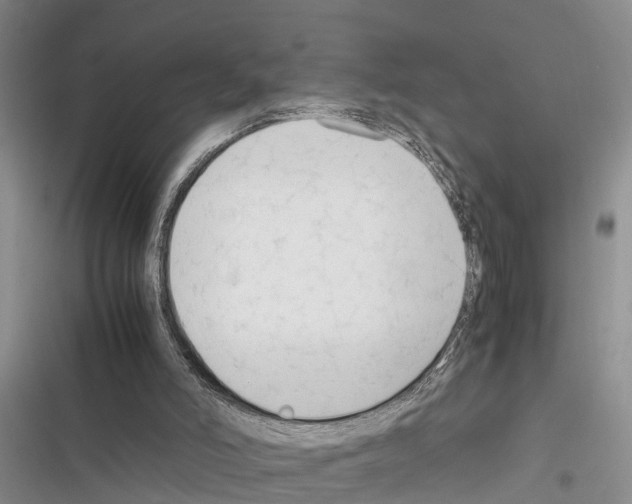 X0000116370006201001131757