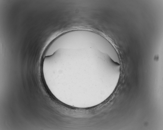 X0000116370008201001131757