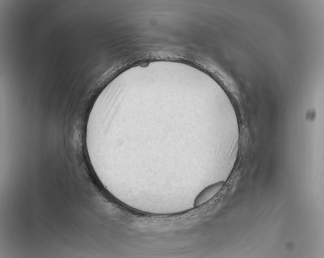 X0000116370009201001131757